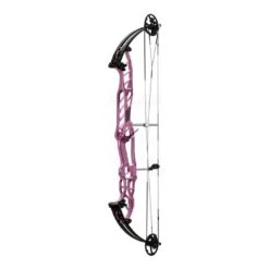 Hoyt Stratos 40 SVX Compound Bows 2024 -Archery Shop 40svxstardust 1