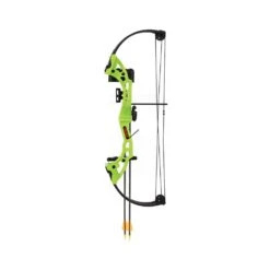 Bear Brave 3 Compound Bow -Archery Shop BEA015 3