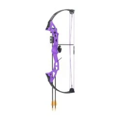 Bear Brave 3 Compound Bow -Archery Shop bear brave purple 1